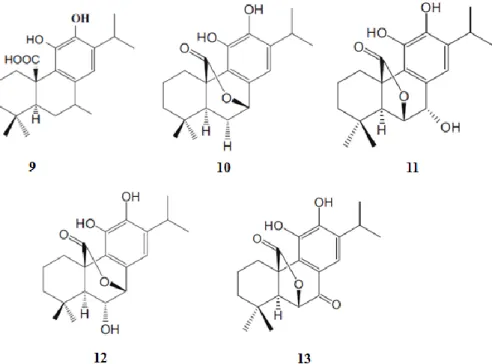 Figura 1.3- Diterpenos fenólicos com atividade antioxidante encontrados em espécies de Salvia (Jassbi et al.,2015)