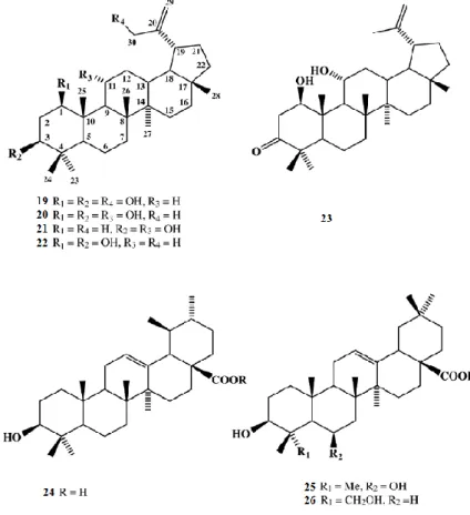 Figura 1.5- Estrutura dos compostos isolados da S. sclareoides (Rauter et al., 2007). 