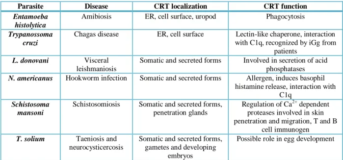 Table 2 CRT functions in parasites that cause disease in humans and animals 