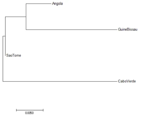 Figura 3.6-Árvore filogenética obtida utilizando o método Neighbour-Joining, a partir das distâncias genéticas estimadas  pelo software Arlequin 3.5.2.2