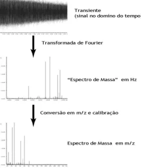 Figura 1.9 Processo de obtenção do  espectro de massas a partir do transiente  por transformadas de Fourier