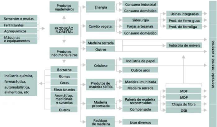 Figura 1 – Cadeia Produtiva – Setor de Produtos Florestais 