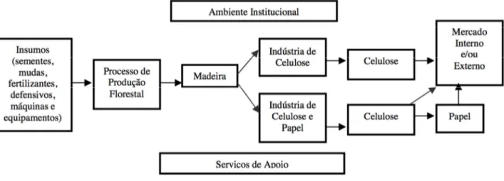 Figura 2 – Cadeia produtiva de papel e celulose no Brasil 