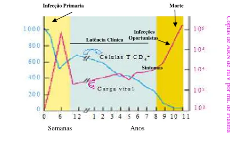 Figura 1.4 - Evolução da infecção por HIV ao longo do tempo. Relação entre a sintomatologia, carga  viral no sangue e contagem de células T CD4+