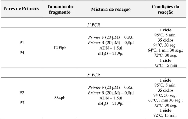 Tabela 3.3 – Condições de PCR para amplificação do Fragmento de 884 pb. 