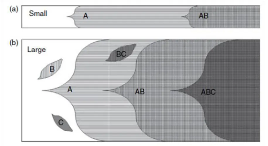Figura 5 – Fixação de mutações em populações de pequeno (A) e grande  (B) efectivo populacional 4 