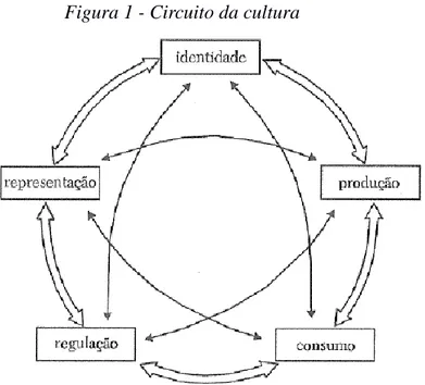 Figura 1 - Circuito da cultura  