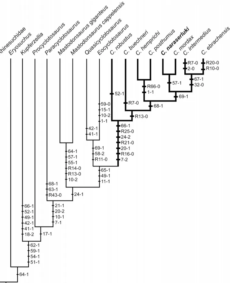 FIGURE 7. Most parsimonious tree of the Capitosauroidea (sensu Schoch, 2008) produced by a TNT 1.5 analysis (tree length D 109 steps, consis- consis-tency index D 0.624, retention index D 0.680, rescaled consistency index D 0.424)