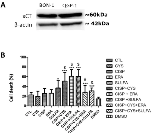 Figure 4.2- The effect of erastin, sulfasalazine and cysteine in the response of BON-1 cell line to  cisplatin