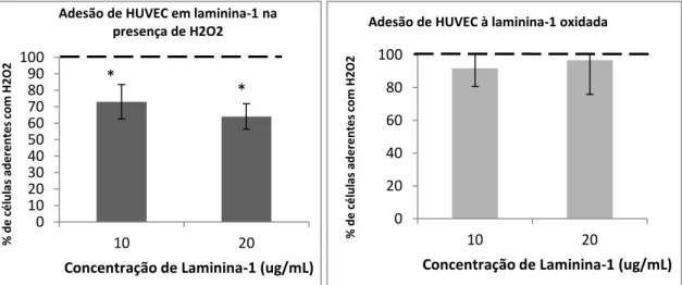 Figura  IV.1  – O H 2 O 2   DIMINUI  A  ADESÃO  DAS  HUVEC   À  LAMININA -1 . (a)  Representação  gráfica  da  percentagem (%) de células aderentes na presença de H 2 O 2 , normalizado em relação ao controlo (100%), para duas  concentrações distintas de la