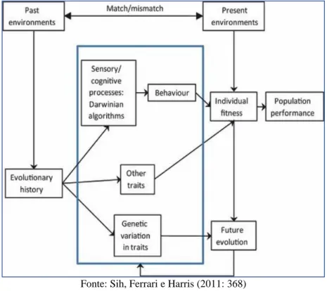 Figura 1: Evolução e respostas comportamentais às mudanças ambientais rápidas induzidas  pelo homem 