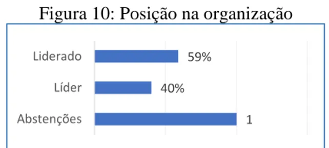 Figura 10: Posição na organização 