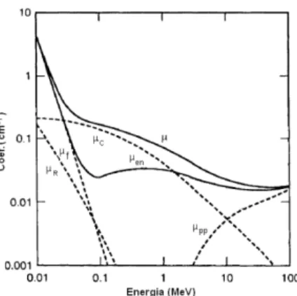 Figura 2 – Coeficientes de atenuação linear e de absorção de energia para fotões em água em  função da energia [TUR07]