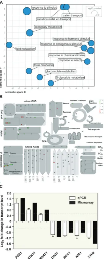 Fig. 8.  Transcriptomic analysis of 10-d-old plate-grown spf1/2 seedlings. 