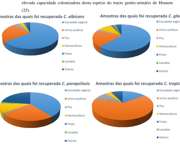 Figura 1.3 Distribuição dos tipos de produtos recolhidos com maior frequência a  partir dos quais foram isoladas as quatro principais espécies de leveduras