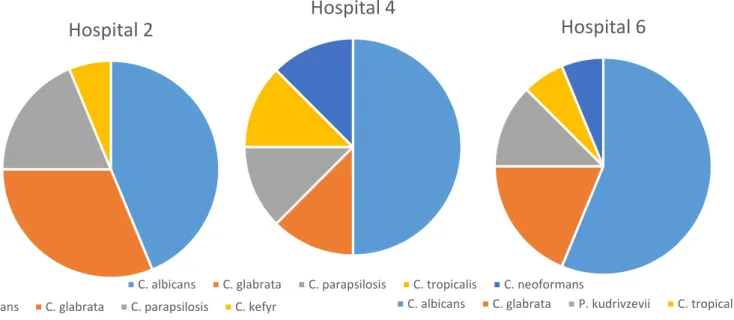 Figura 1.4 Distribuição das diferentes espécies nos isolados de hemoculturas, em  cada um dos hospitais considerados no trabalho