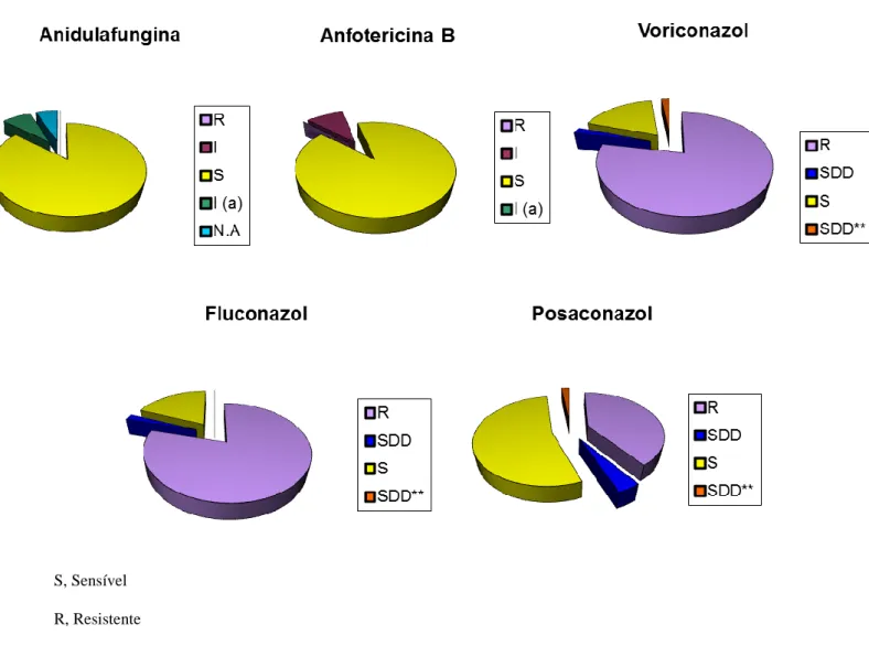 Figura 1.7 Distribuição de isolados para cada antifúngico segundo testes de  suscetibilidade efetuados para isolados do estudo A
