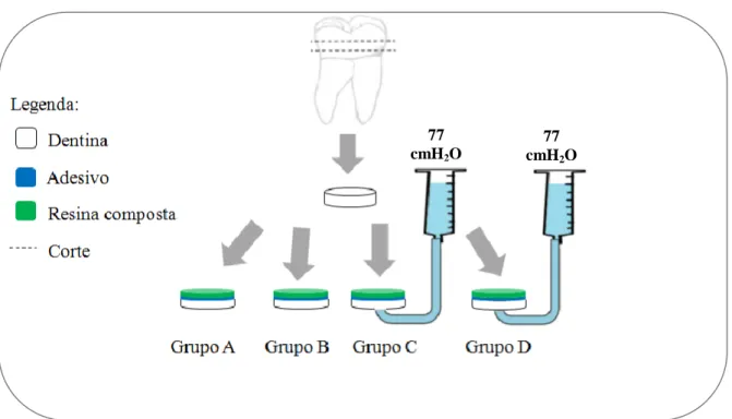 Figura 1 - Esquema de preparação dos espécimes, adaptado de (Oliveira, 2014) 