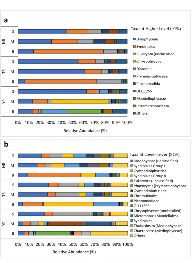 Figure 3 - Taxonomic profile of eukaryotic N-ICE2015 collection. N-ICE2015 collection possess protists  sequences  retrieved  from  the  surface  (S),  middle  (M)  and  bottom  (B)  seawater  at  Nansen  Basin  (NB),  Transition Region (TR) and Yermak Pla
