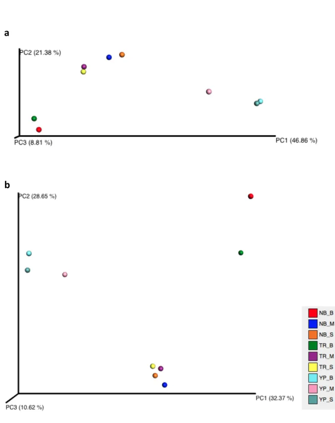 Figure 7 - PCoA of unweighted UniFrac distances across all samples. a Prokaryotic samples
