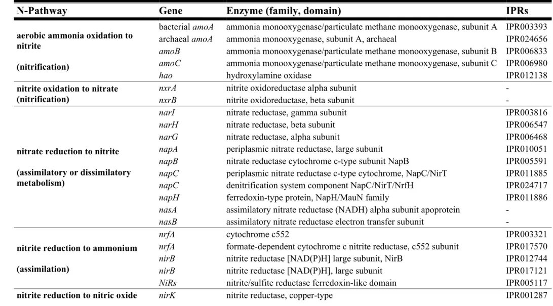 Table 2 - Nitrogen-biogeochemical cycle: pathways, genes, enzymes, and, the respective InterPro accession number (IPRs)