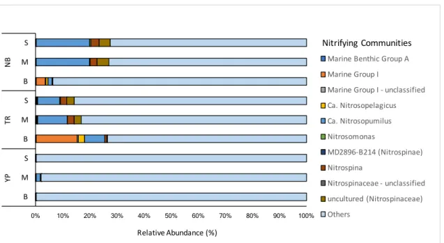 Figure  8  -  Distribution  of  nitrifying  communities  across  the  prokaryotic  N-ICE2015  collection