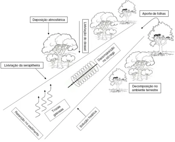 Figura 3 – Fluxos de entrada e saída de nutrientes na interface entre o ambiente terrestre e  aquático no sistema ripário