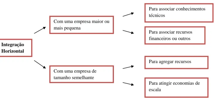 FIGURA 2 – Resumo da integração horizontal 