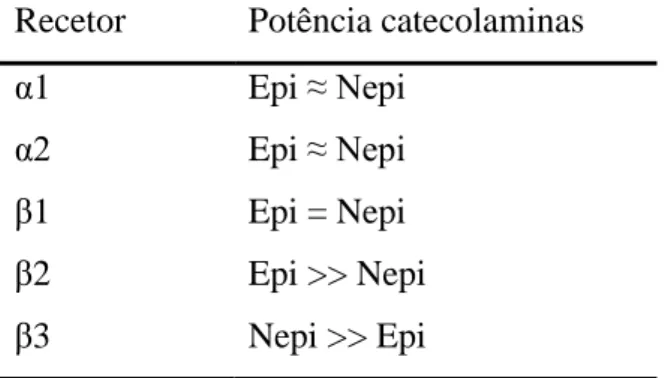 Tabela 1 - Potência da ação das catecolaminas (Adaptado de Herrera &amp; Nelson, 2010)