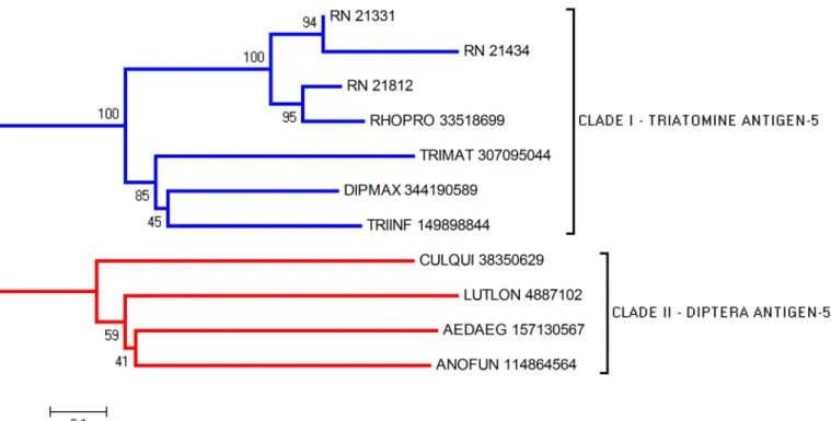 Fig 3. Phylogram of Antigen-5 proteins from R. neglectus SG transcriptome. Phylogenetic tree derived from the alignment of R