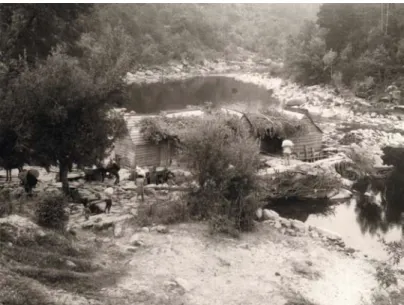 Figura 11. Rio Tâmega, núcleo moageiro em pleno funcionamento. Amela, Boelhe, 196.. (Fotografia Albano)