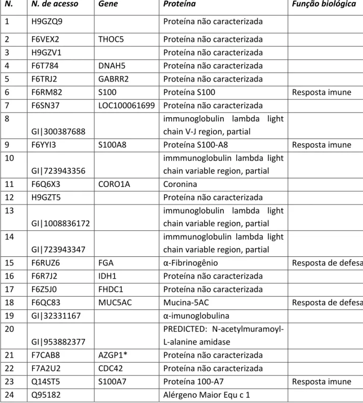 Tabela 2. Listagem das 24 proteínas lacrimais identificadas em cavalos saudáveis e sem alteração  oftálmica, que são reguladas pelo fator sexo feminino 