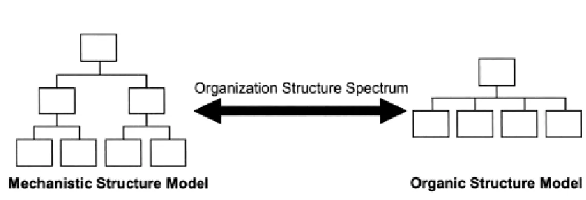 Figure 4: Organizational Structure Spectrum 