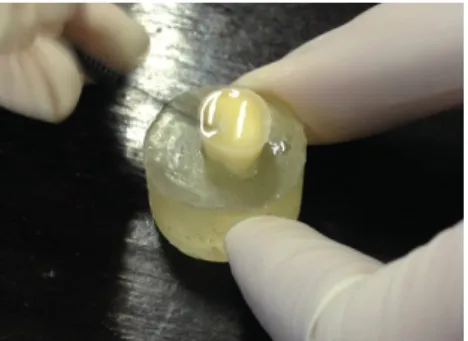 Figure 8 – Adhesive being  applied. 