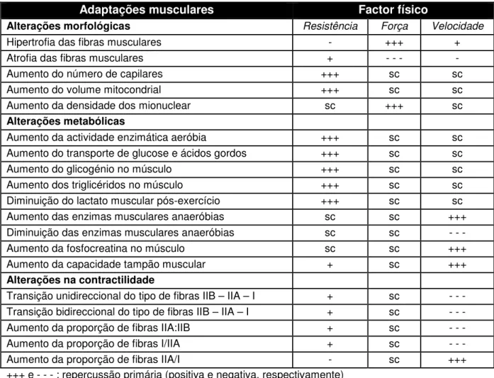 Tabela 1 – Adaptações musculares em resposta ao treino em cavalos e suas repercussões  nos diferentes factores físicos 