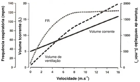Figura 13 – Relação entre a frequência respiratória, o volume corrente e o volume de  ventilação com a velocidade de esforço 