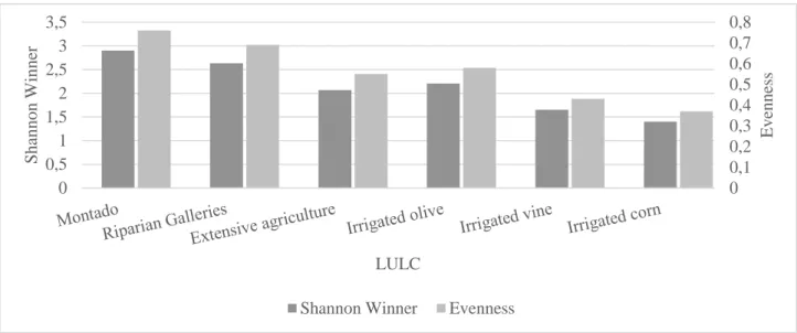 Figure 3.2.1.2 - Diversity indexes results for birds per sampled LULC for the Monte Novo irrigation site 