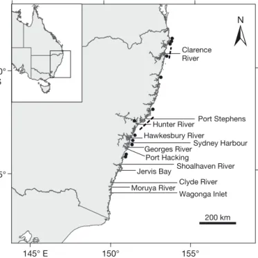 Fig. 1. Locations of the estuaries where juvenile Pomatomus saltatrix were collected. The dashed lines represent the  re-gions where offshore trawl samples were conducted during the 1990s