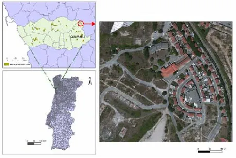 Fig. 1 – The SJD neighbourhood 