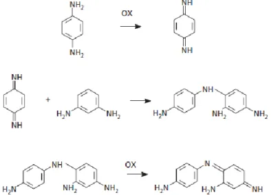 Figure 2.1 - The three main steps in oxidative dye formation, available from (1) 