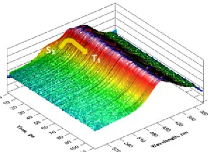 Figure 2 – Transient absorption map of bD in acetonitrile, pumped with 330 nm excitation