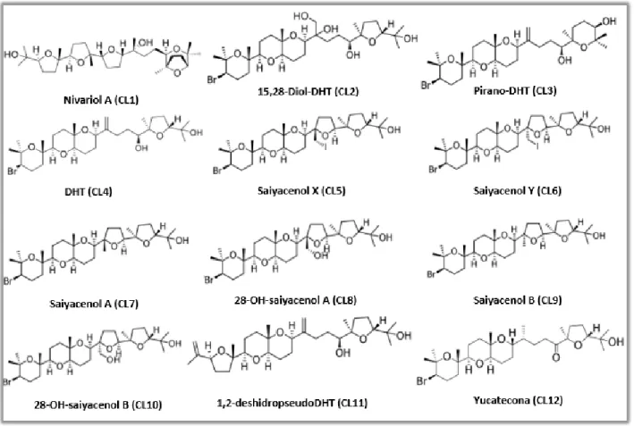 Figure 4. Chemical structure of the compounds evaluated. Molecular weight: CL1 = 524 g/mol; CL2 =  621 g/mol; CL3 = 587 g/mol; CL4 = 587 g/mol; CL5 = 712 g/mol; CL6 = 715 g/mol; CL7 = 587 g/mol; 