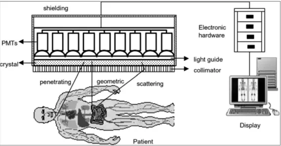 Fig. 2.1. Scheme of the principles and basic components of an Anger camera  2 . 