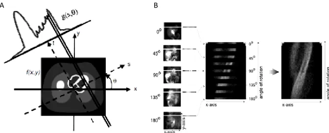Fig. 2.2. A. Geometry for the 2D image reconstruction problem (adapted from  2 ). B. Representation of the construction of a  sinogram  from  thin  slice  of  the  heart  obtained  from  sample  projection  views  from  a  180 o   acquisition  around  a  p