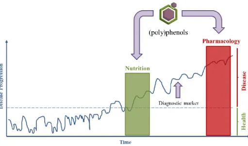 Fig. 1 Disease progression and transition from healthy to disease state. (Poly)phenols can potentially act  in the prevention of disease, through nutrition, or to  restore the  healthy state in the earlier stages of a  disease even before the administratio