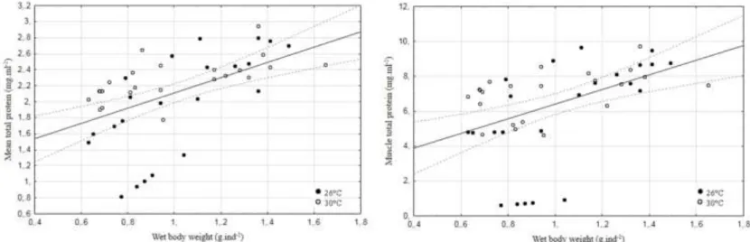Table 2.4 Spearman’s rank order correlation between biomarker levels in each tissue and total wet body  weight (g.ind -1 ) of  Amphiprion ocellaris
