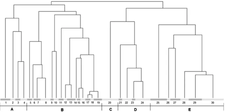 Figure 2. Modified TWINSPAN classification tree using average Jaccard dissimilarity (min