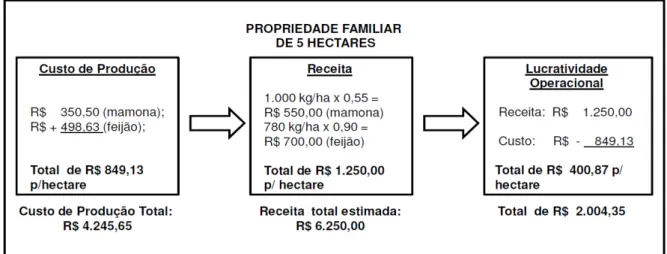 Figura 10  – Cálculo da receita bruta e lucratividade operacional das propriedades familiares