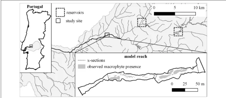 FIGURE 1 | Location of the study site in Portugal and the Sorraia basin (rectangle), the position of the two largest reservoirs (dotted rectangles) and the wetted area of the model reach at Q = 0.3 m 3 /s, the location of the x-sections used for the hydrau