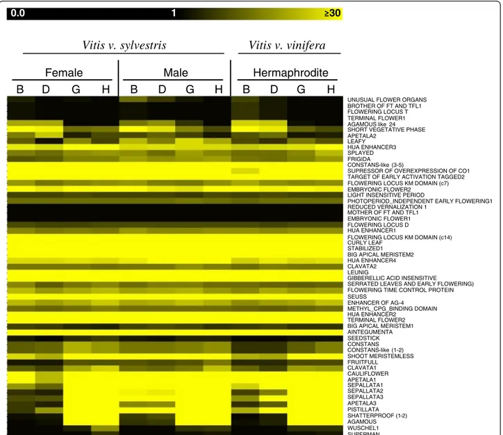 Figure 9 Heatmap of flowering genes. Heatmap of genes involved in flowering development